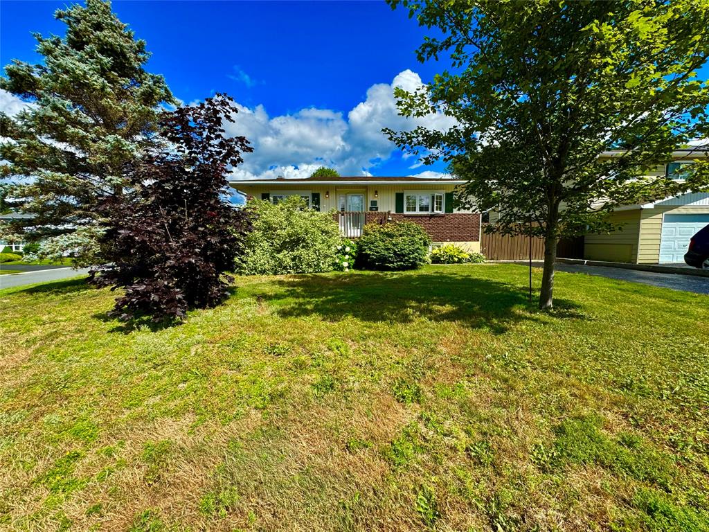 19 Griffin Place, Gander, NL — photo 1