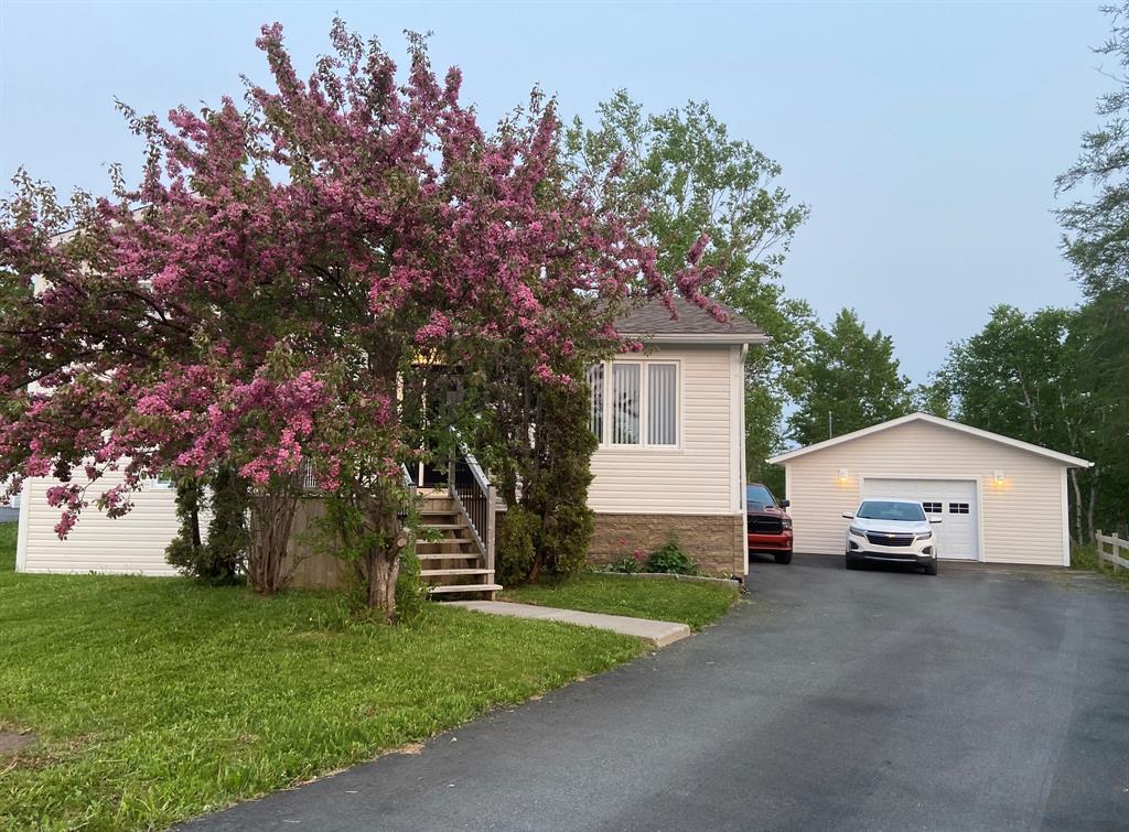 17 Brown Crescent, Gander, NL — photo 1