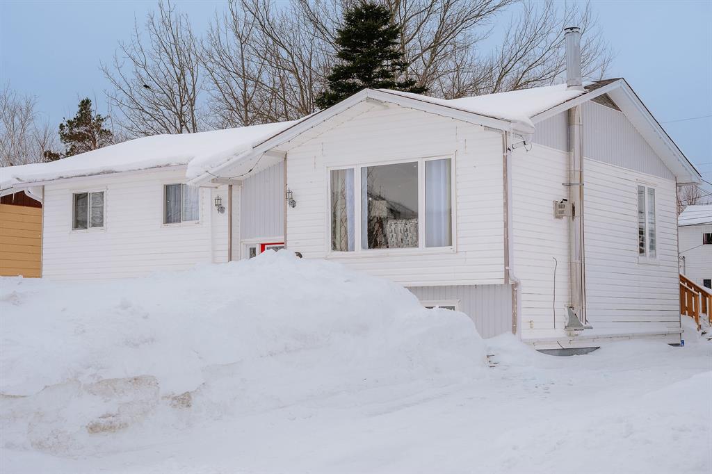 6 Kent Place, Gander, NL — photo 1