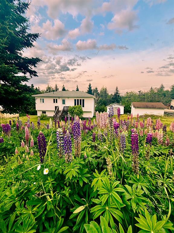 13 Otto's Road, Frederickton, NL