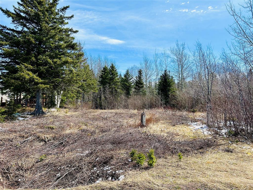 56 Pleasantview Road, Point Leamington, NL