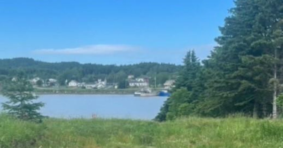 76B Island Drive, Summerford NL — $79,900