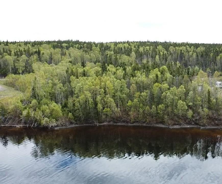 9 Little Paradise Lake Road, Beothuk Lake, NL
