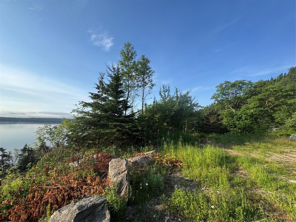 0 Main Road, Charlottetown, NL