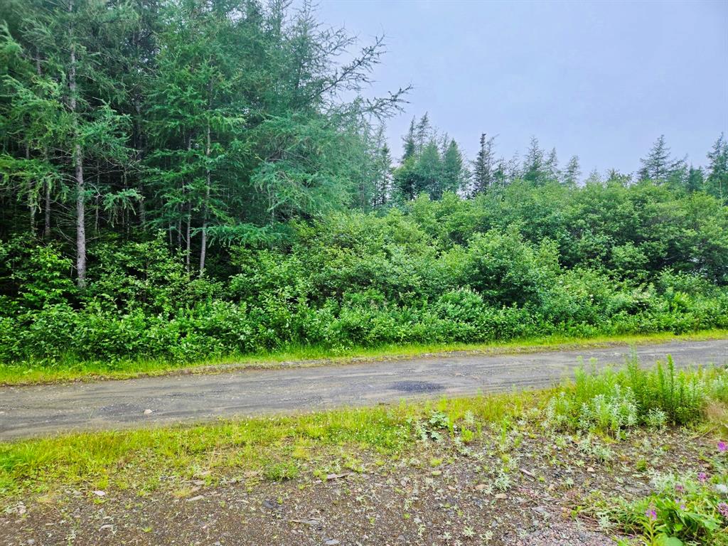 7 lot -Camp 4 Road, Bay d'Espoir Highway, NL