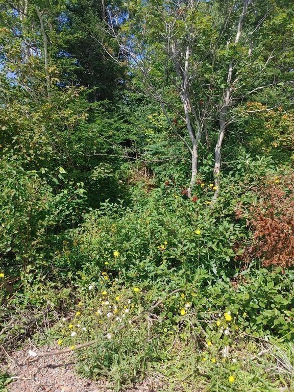 11 Point Leamington Highway, Northern Arm, NL
