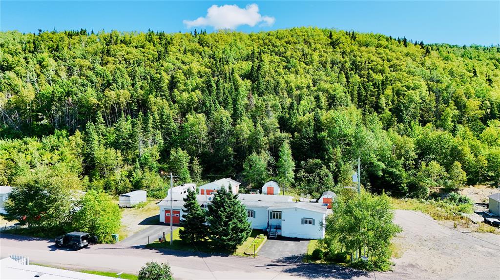 54 PREMIER Drive, South Brook, NL